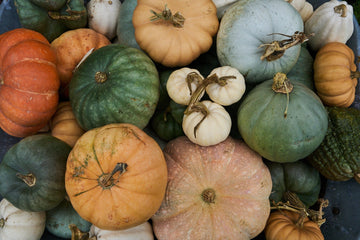 GRÆSKAR - MEGET MERE END HALLOWEEN