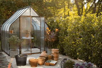 GUIDE TIL EFTERÅRSSÅNING I DRIVHUSET