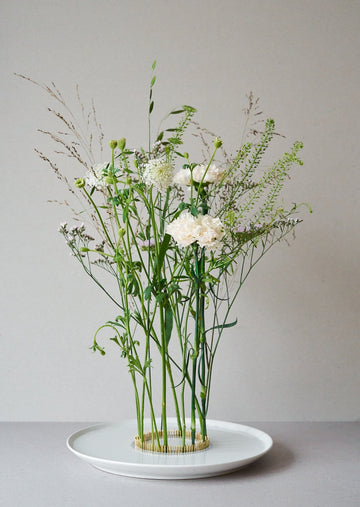 Blomsterfakir 'Hanataba' Mellem