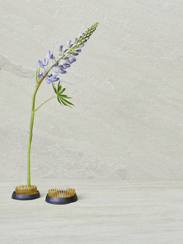 Blomsterfakir 'Kenzan' Mellem