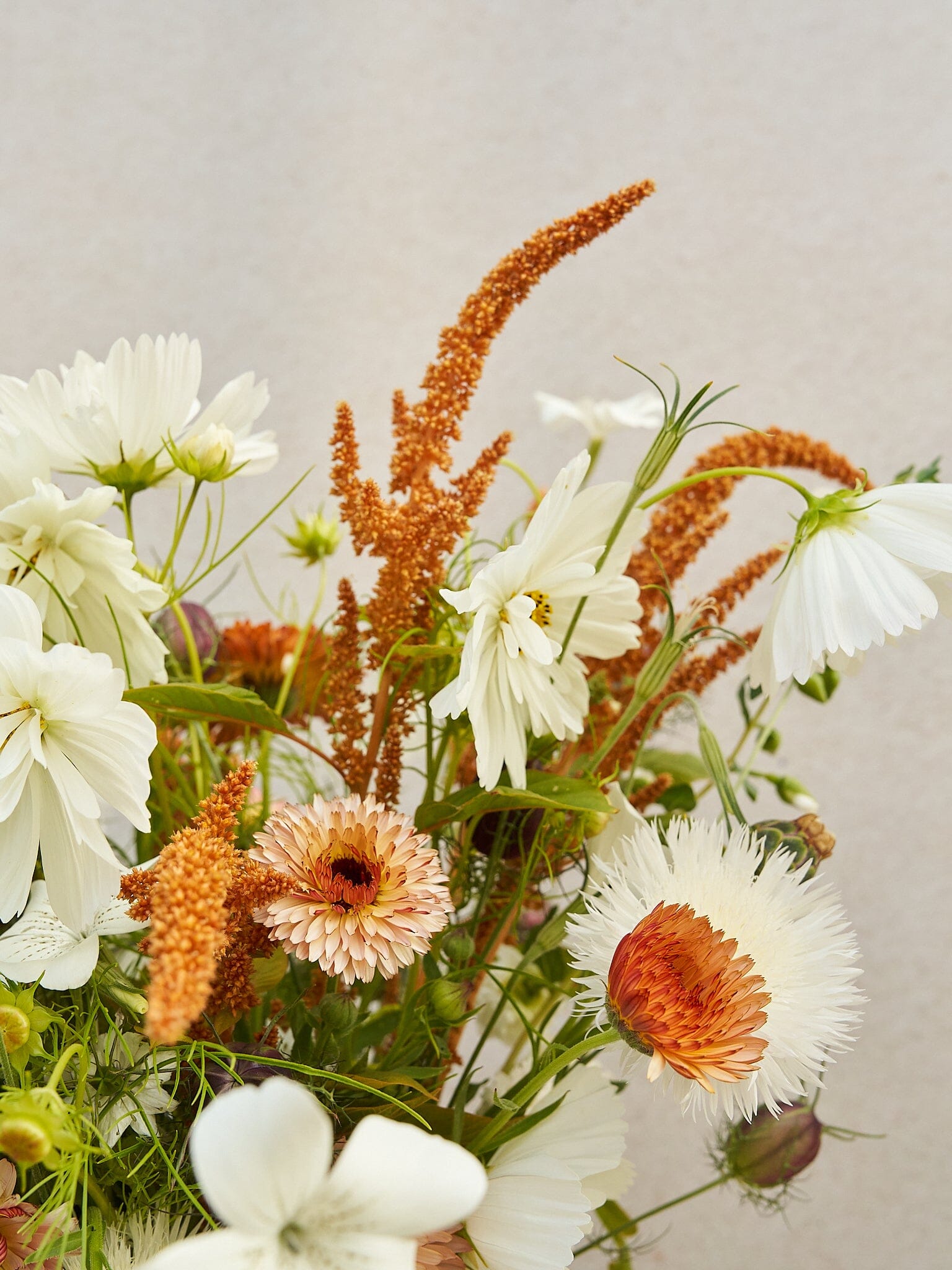 Buket 2024 'Saint Tropez' Seed