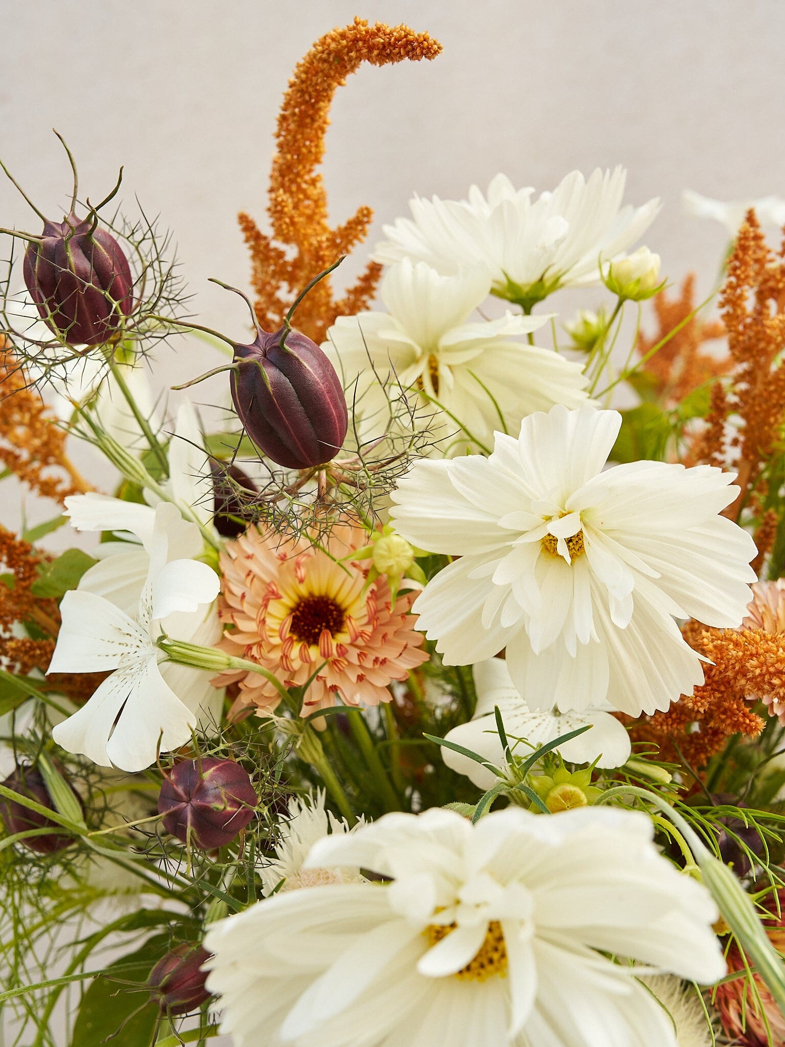 Buket 2024 'Saint Tropez' Seed