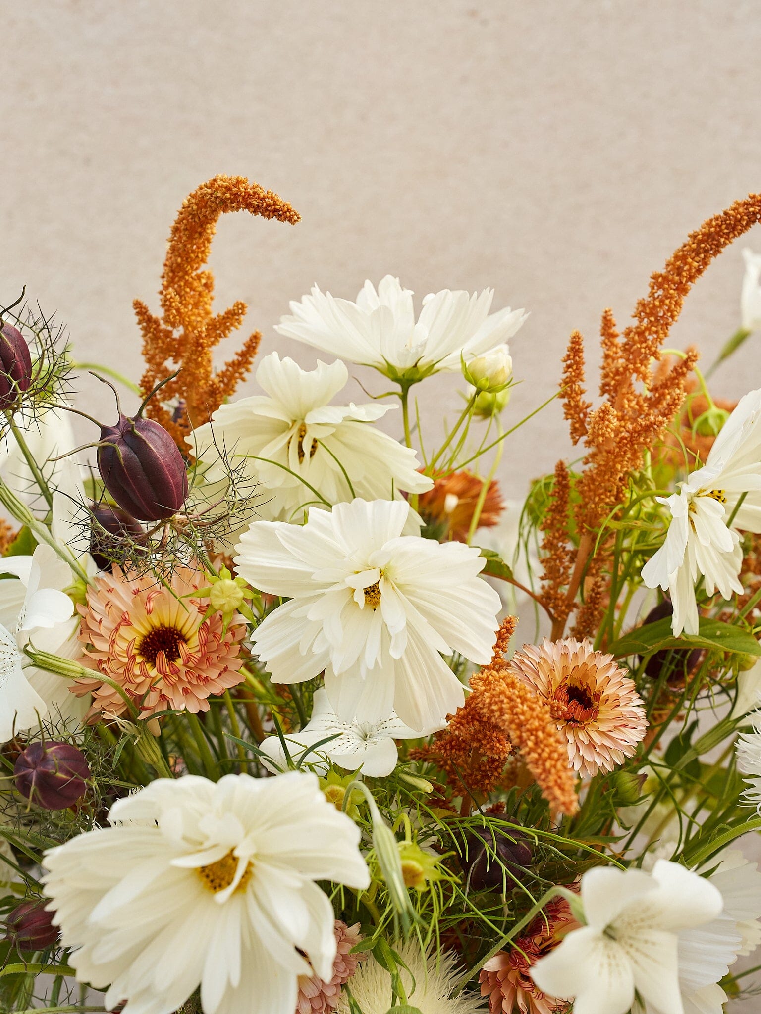 Buket 2024 'Saint Tropez' Seed