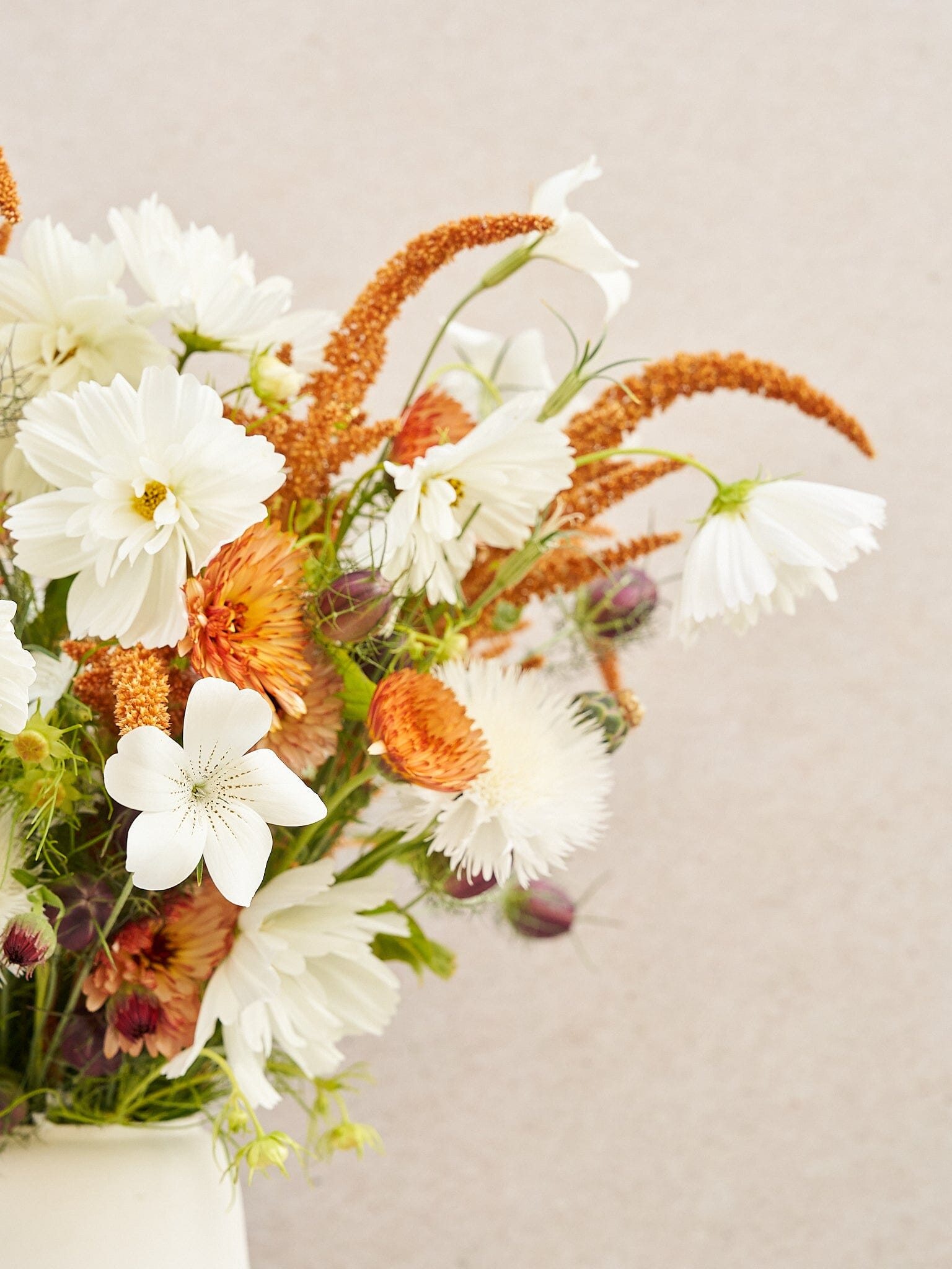 Buket 2024 'Saint Tropez' Seed