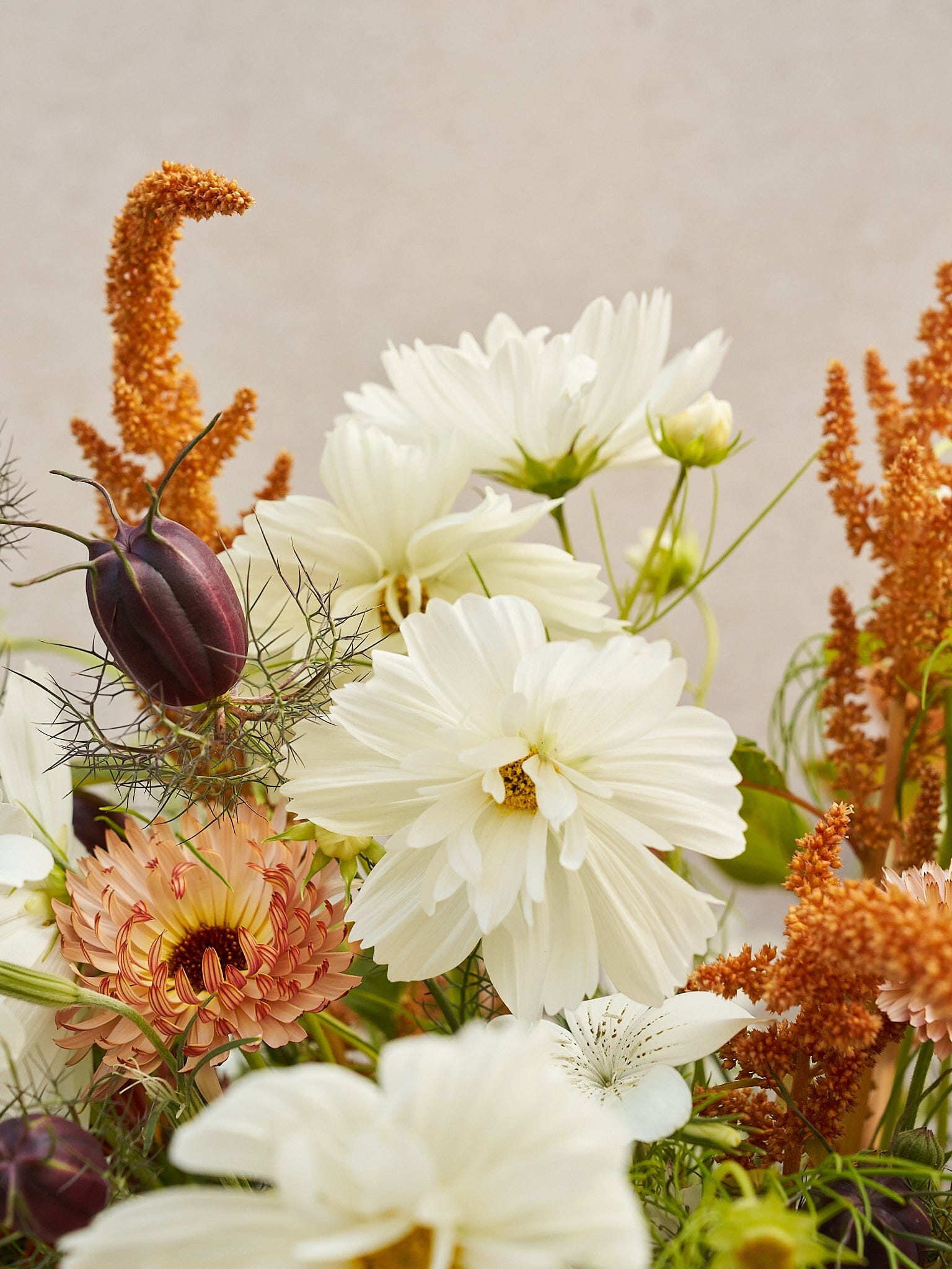 Buket 2024 'Saint Tropez' Seed