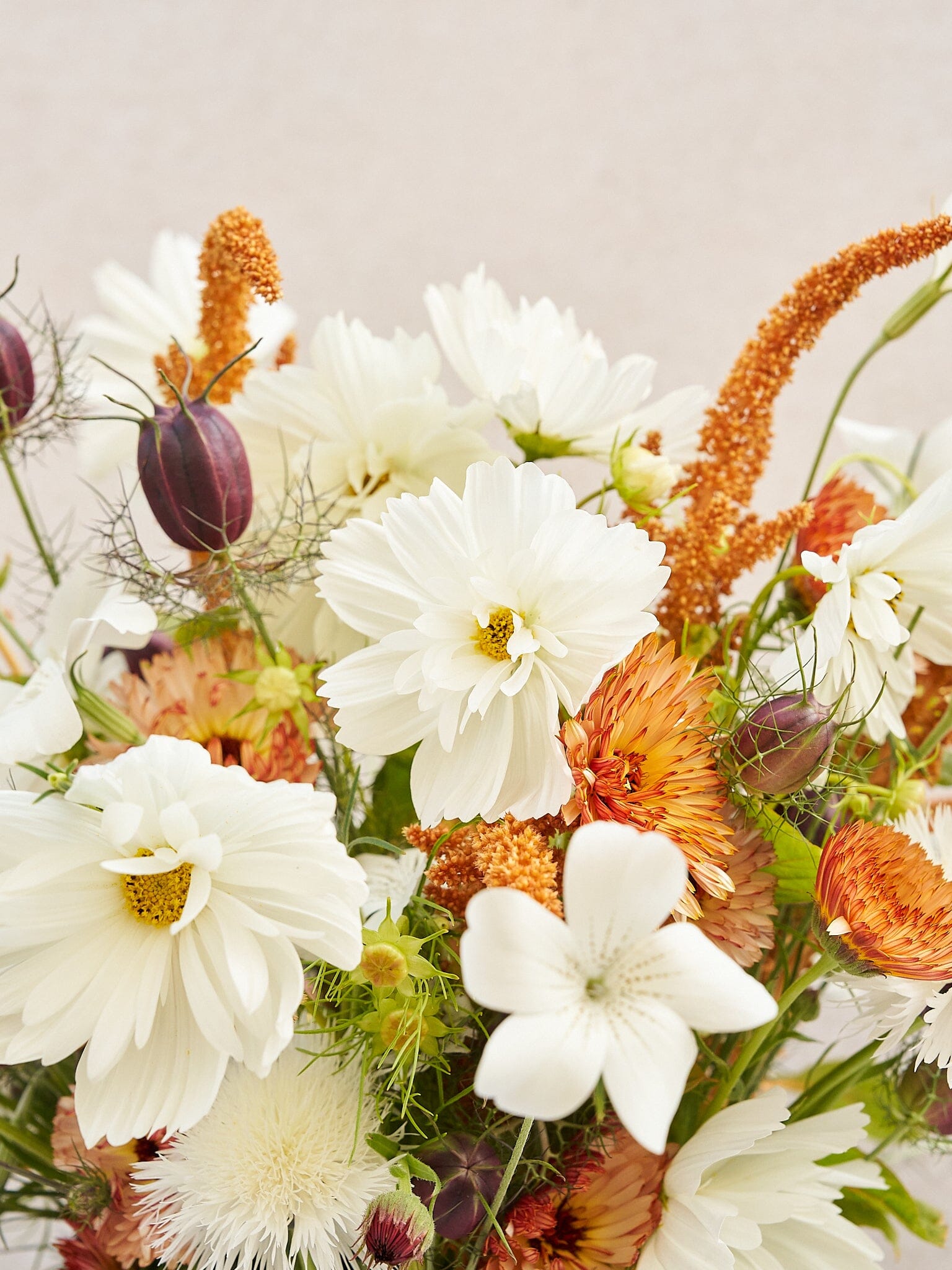 Buket 2024 'Saint Tropez' Seed