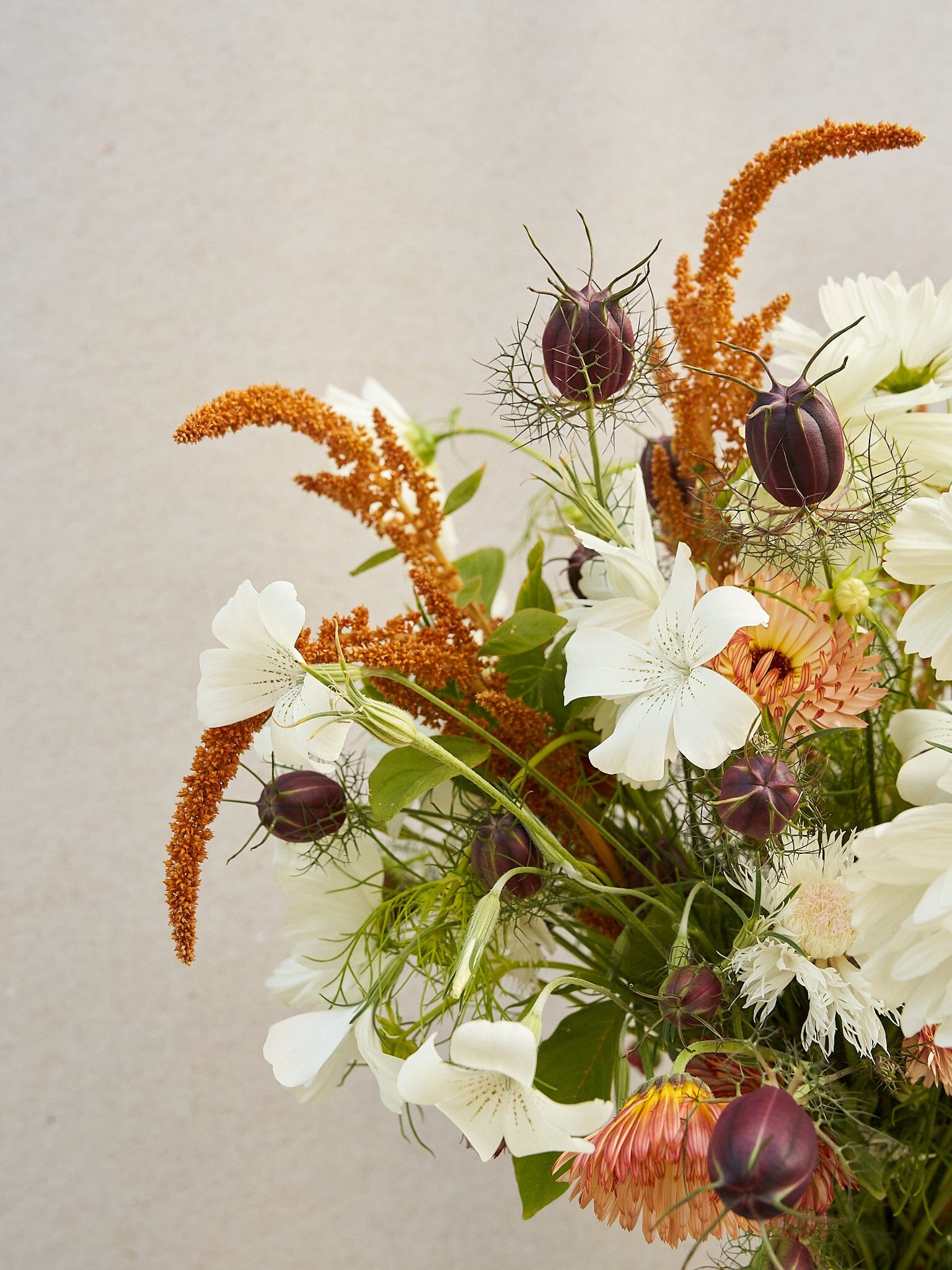 Buket 2024 'Saint Tropez' Seed