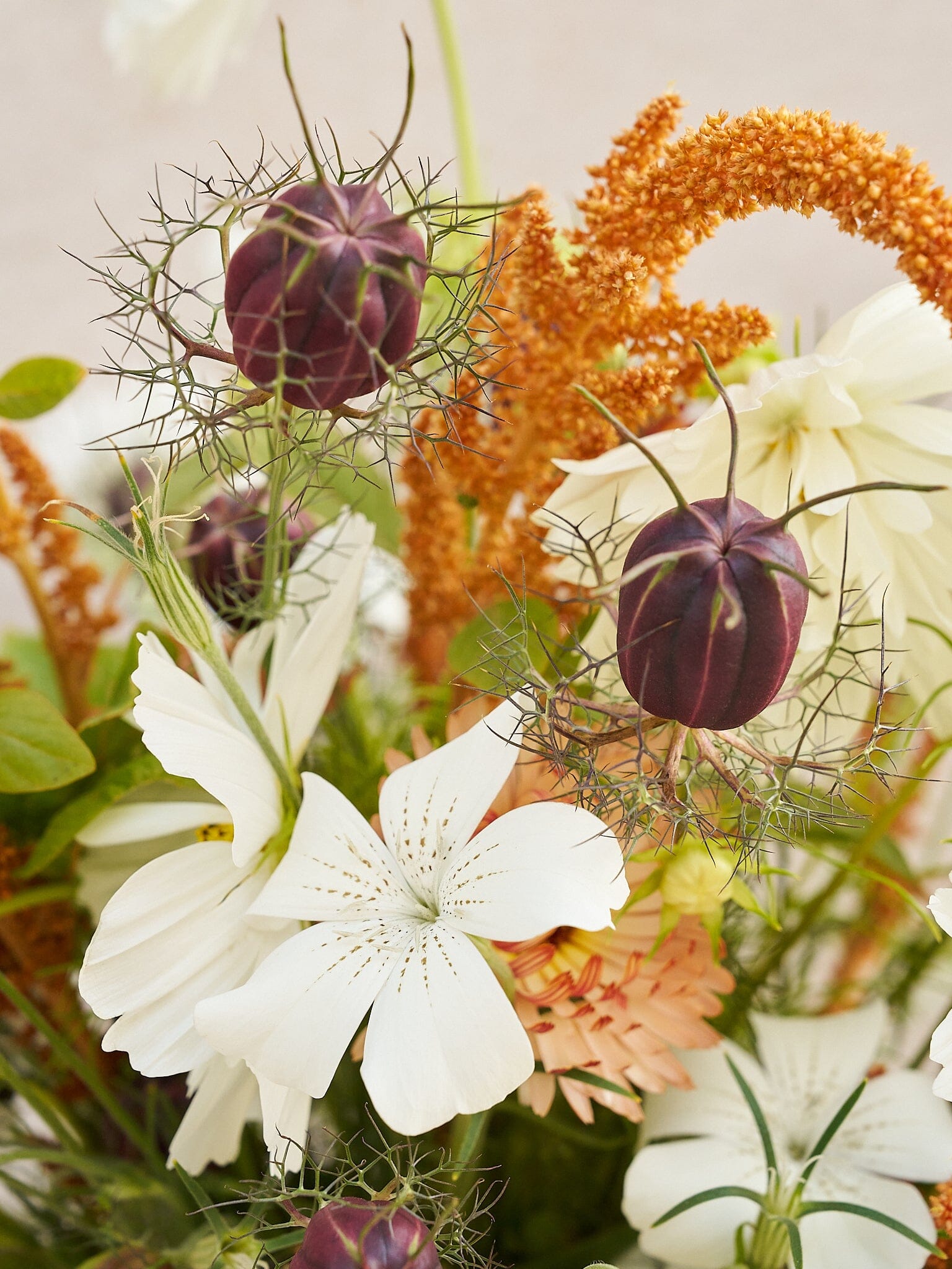 Buket 2024 'Saint Tropez' Seed