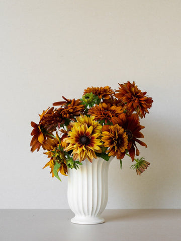Solhat 'Cherokee Sunset' Seed