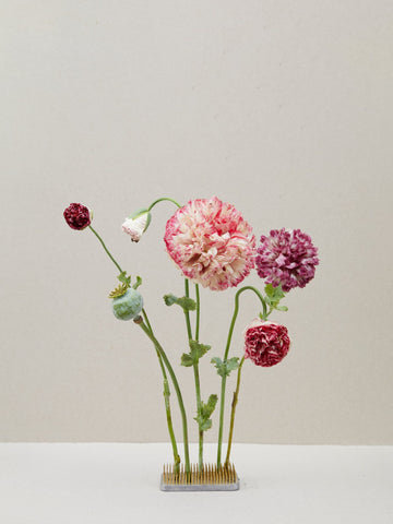 Opiumvalmue 'Flemish Antique Peony' Seed