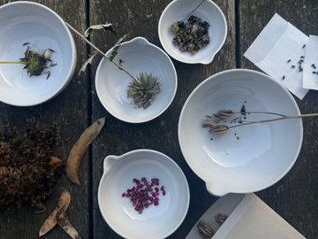 TIPS TIL HØST AF BLOMSTERFRØ