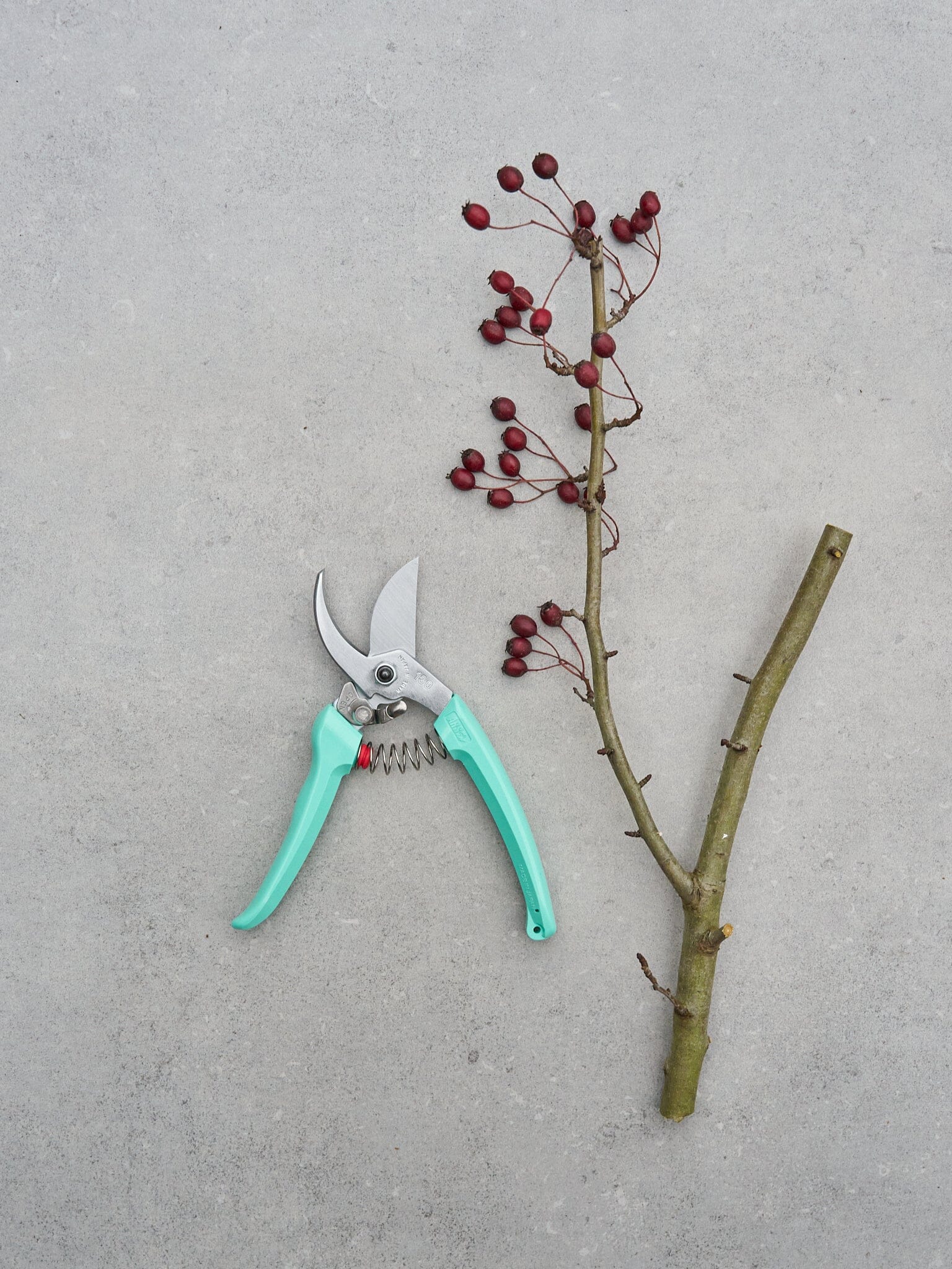 Beskærersaks ARS 130DX-Mintgrøn 