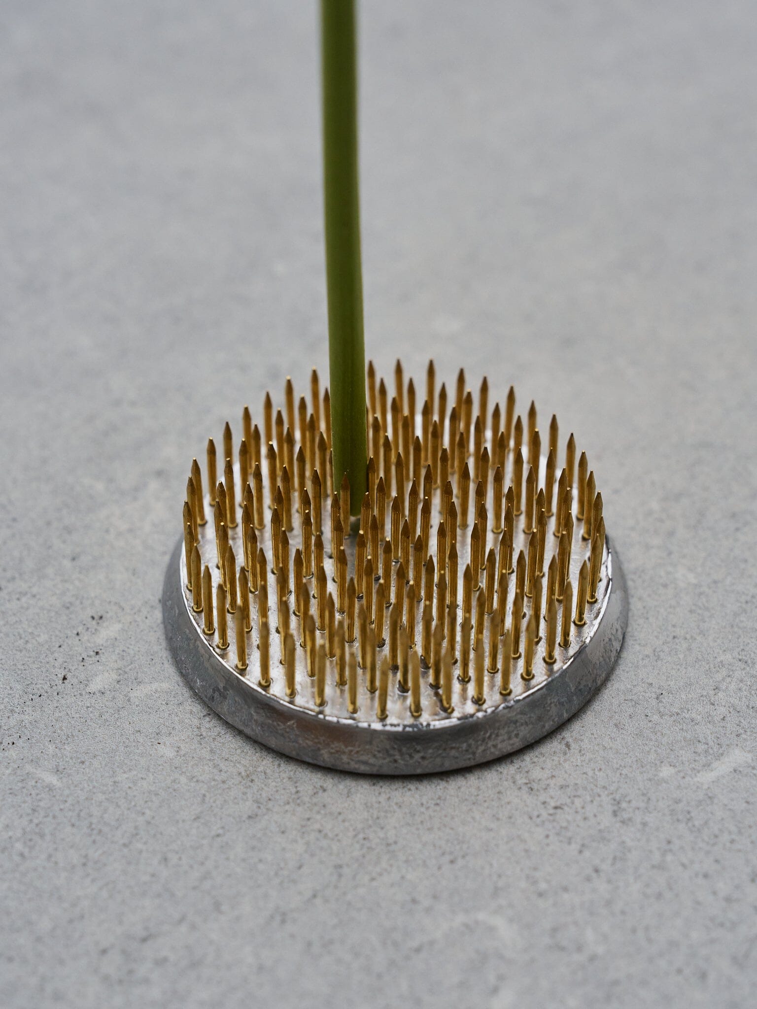 Blomsterfakir 'Kenzan' Stor 