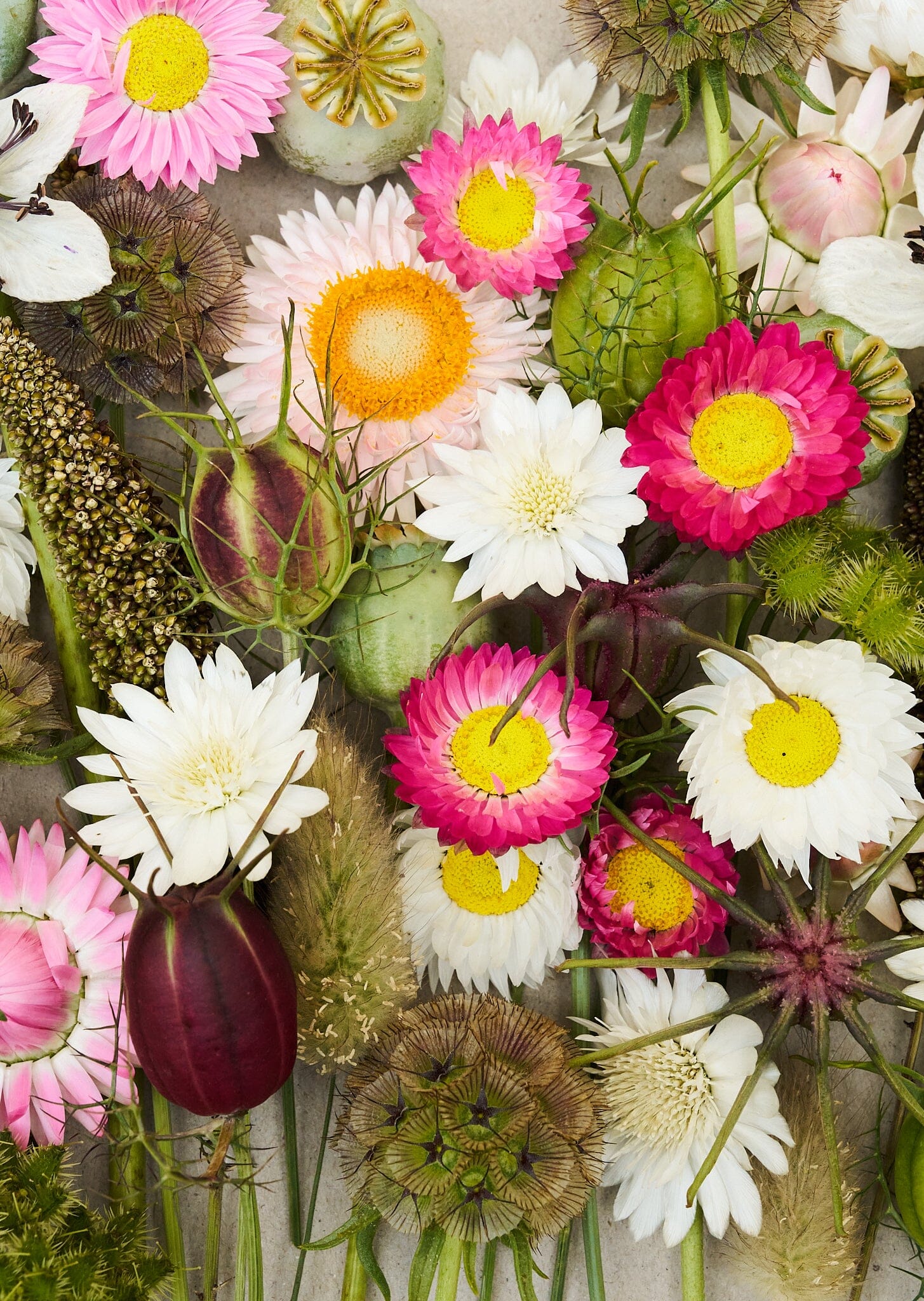 Eternity..... blanding af tørrede blomster Seed 