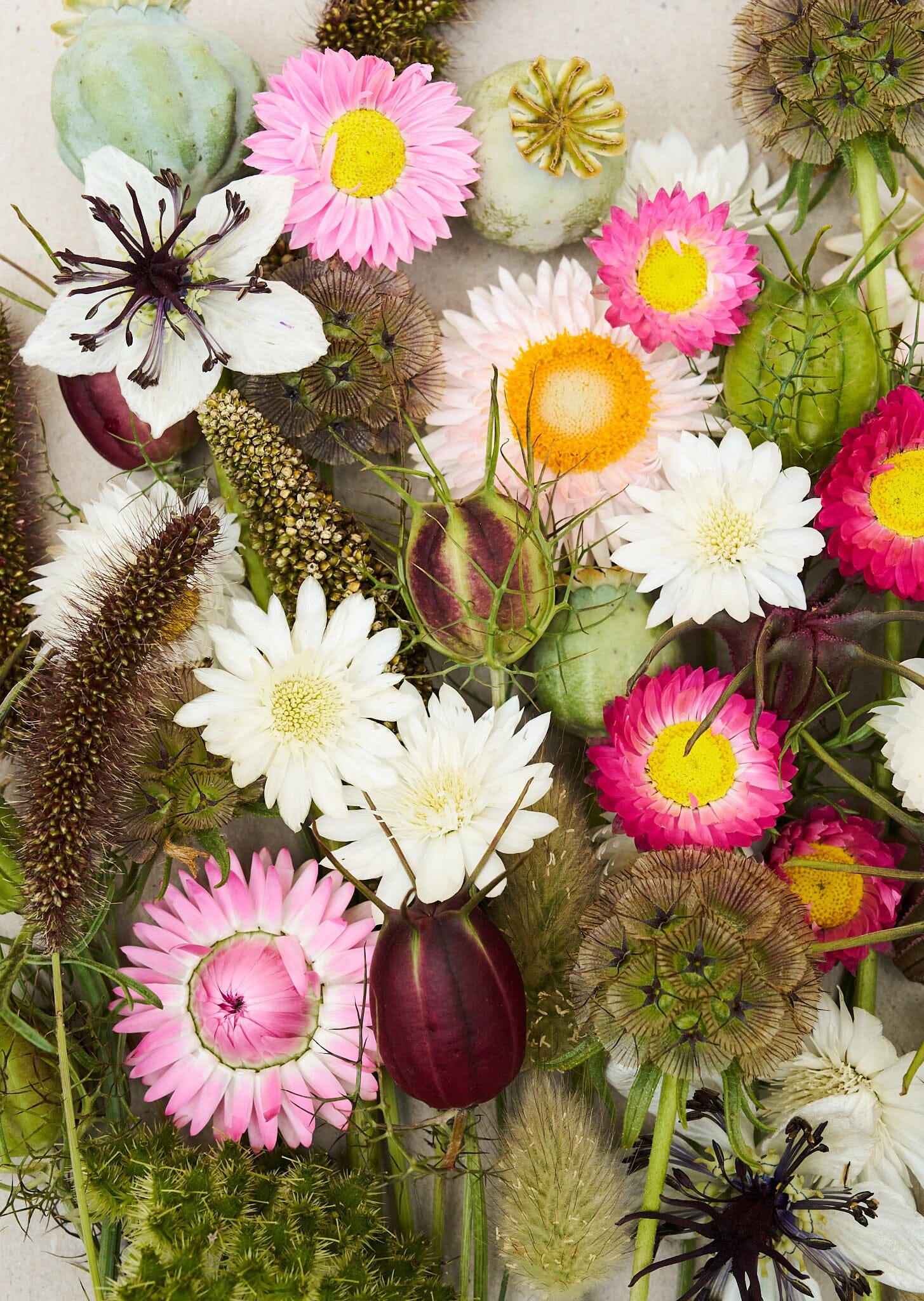 Eternity..... blanding af tørrede blomster Seed 