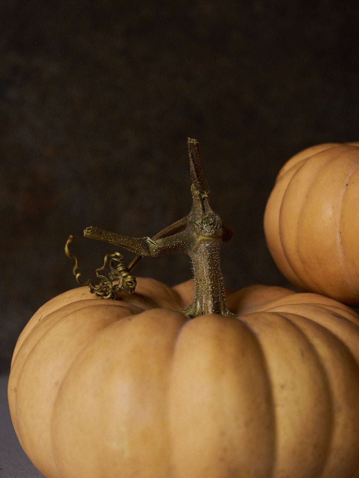 Græskar 'Autumn Crown' Seed 