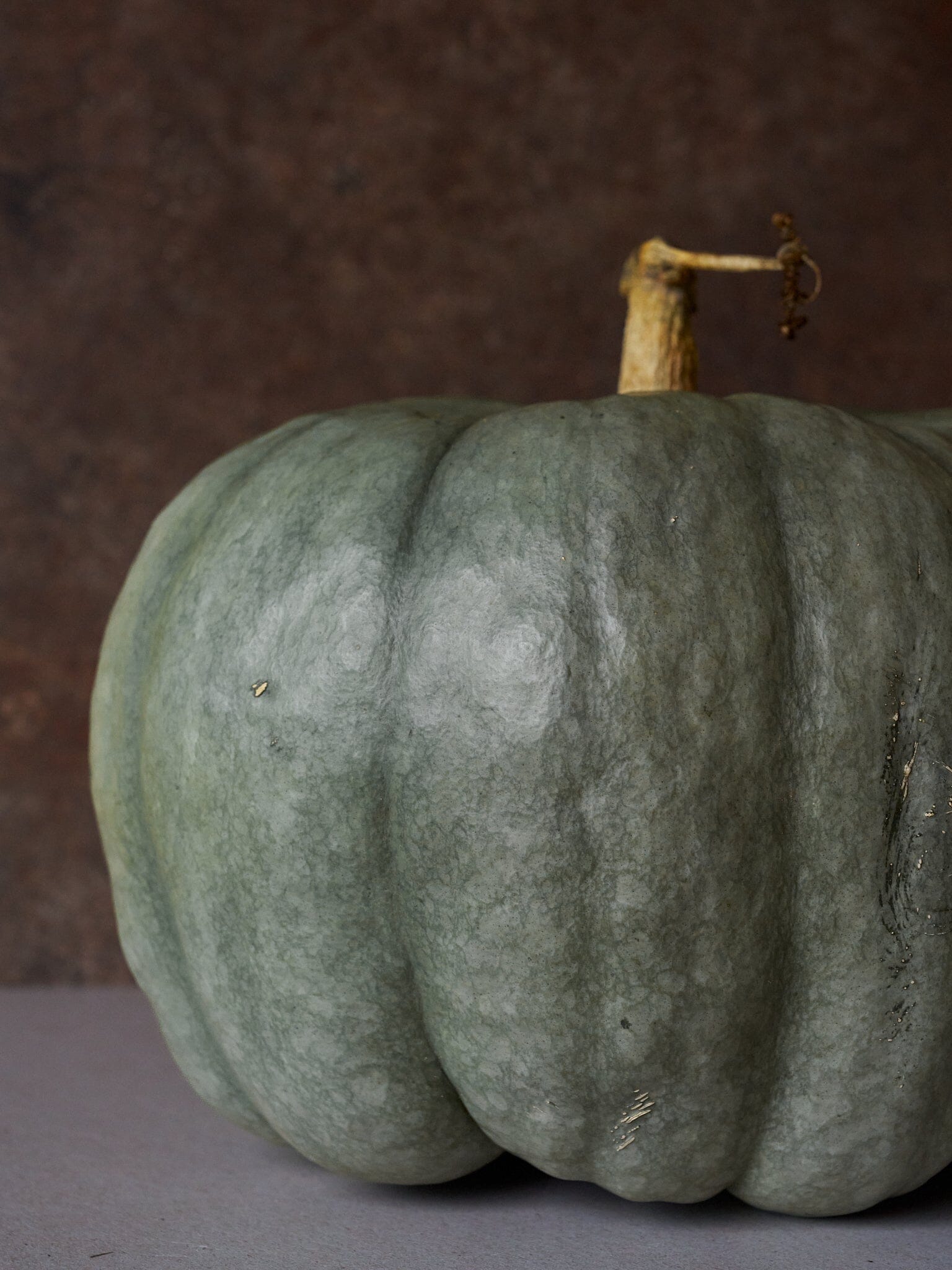 Græskar 'Blue Doll F1' Seed 