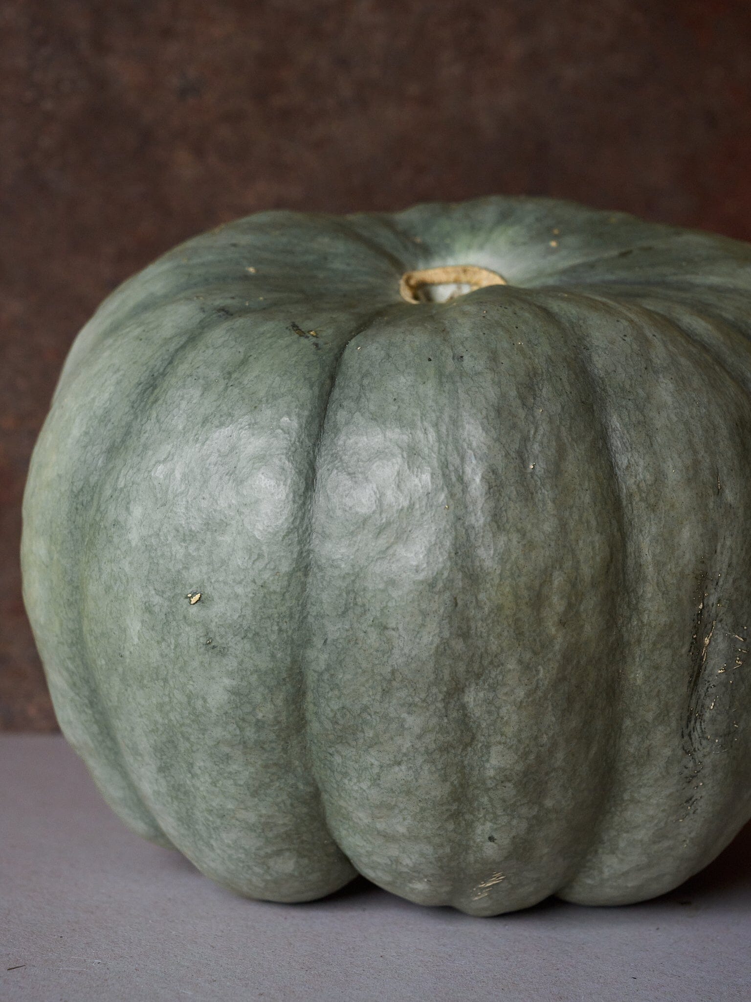 Græskar 'Blue Doll F1' Seed 