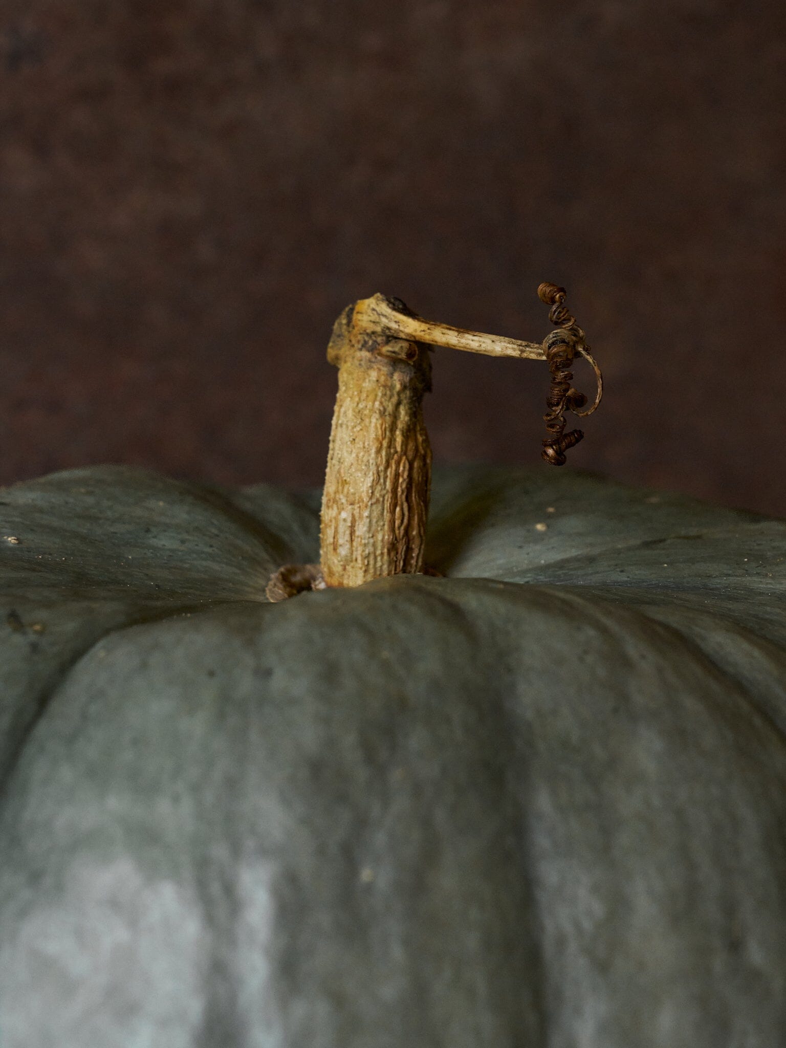 Græskar 'Blue Doll F1' Seed 