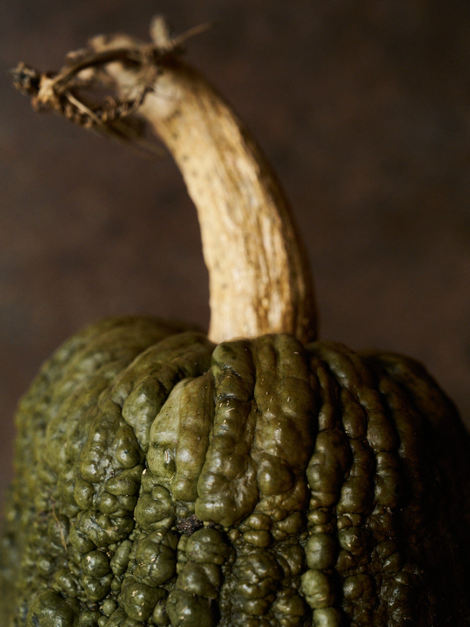 Græskar 'Buen Gusto' Seed 