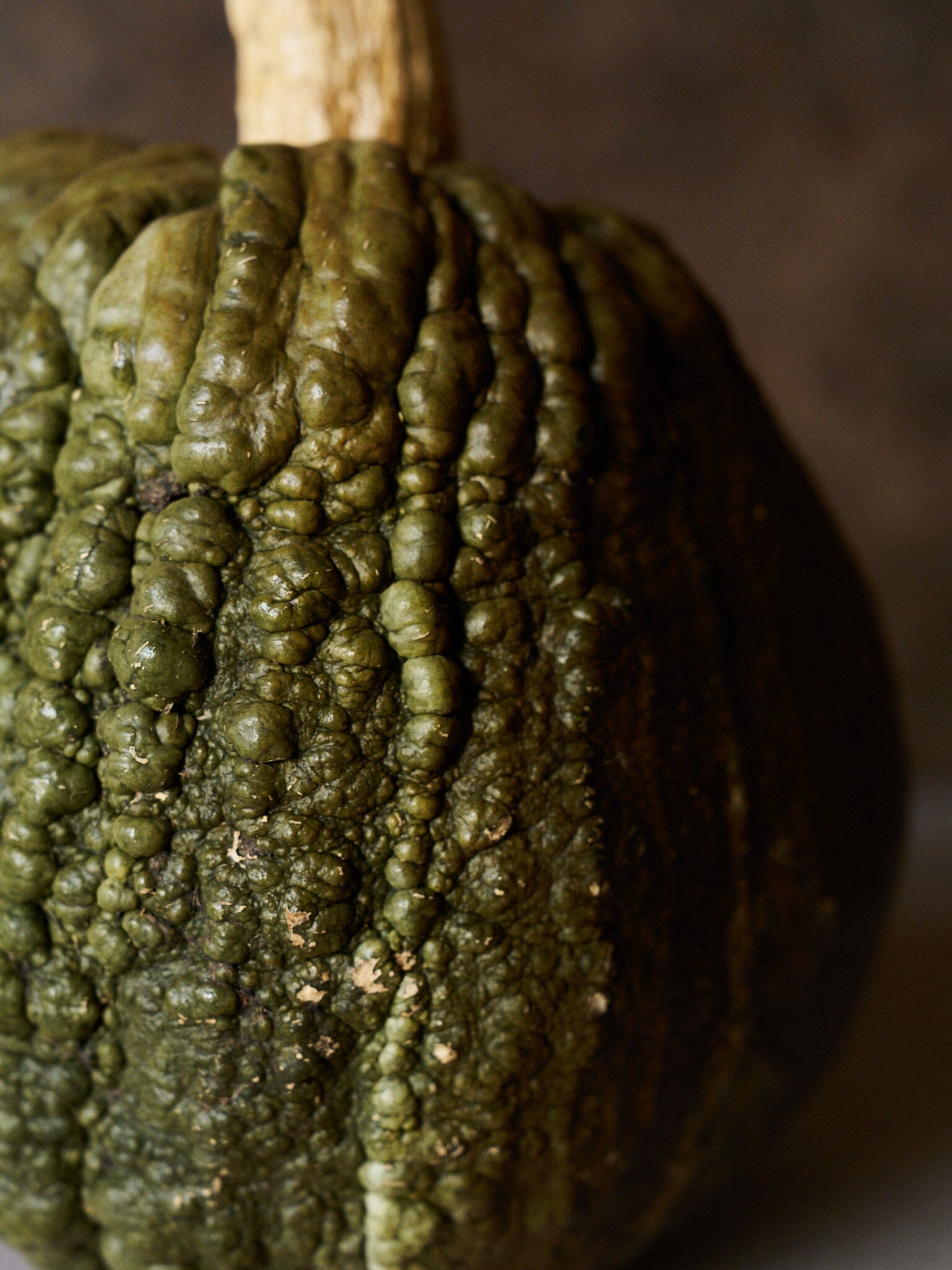 Græskar 'Buen Gusto' Seed 