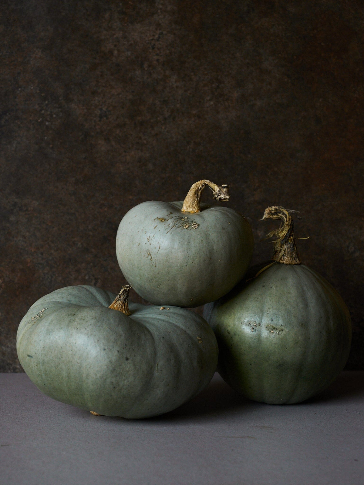 Græskar 'Bush Baby' Seed 