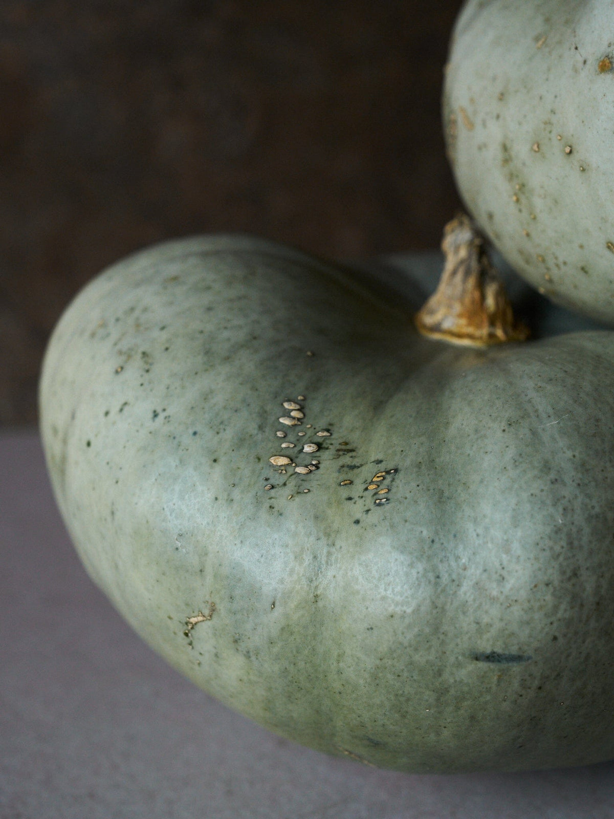 Græskar 'Bush Baby' Seed 