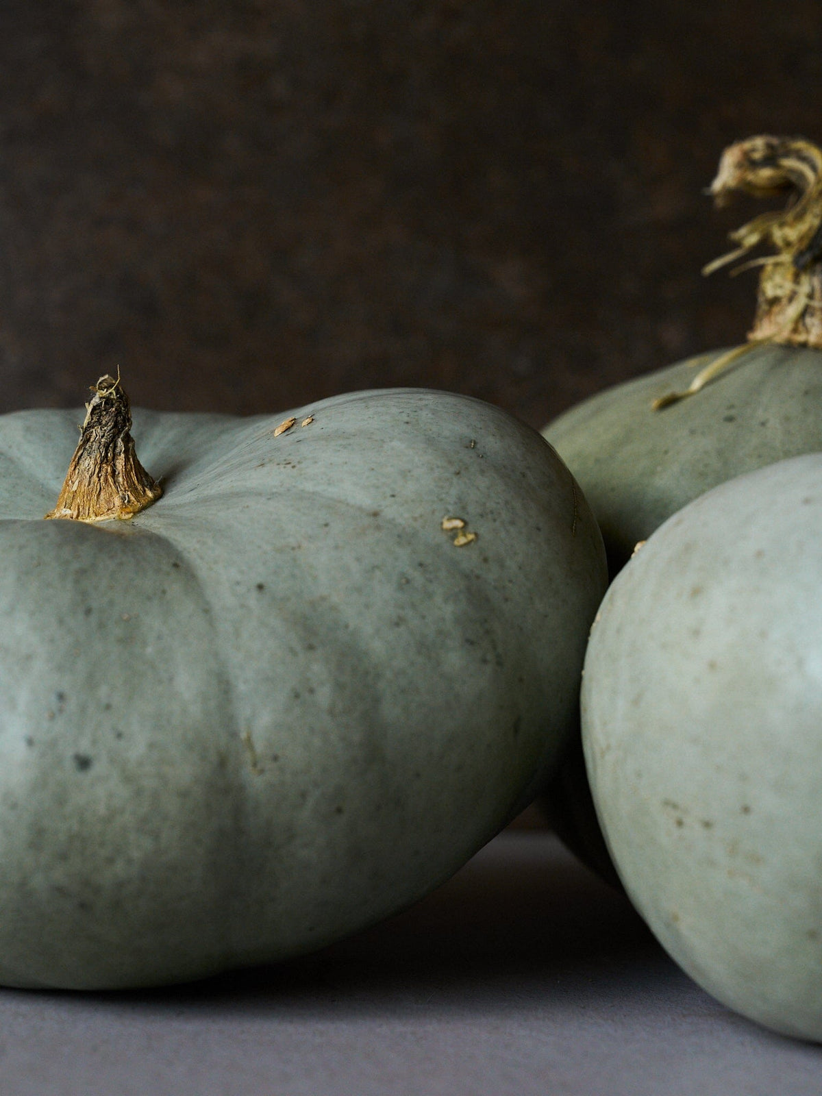 Græskar 'Bush Baby' Seed 