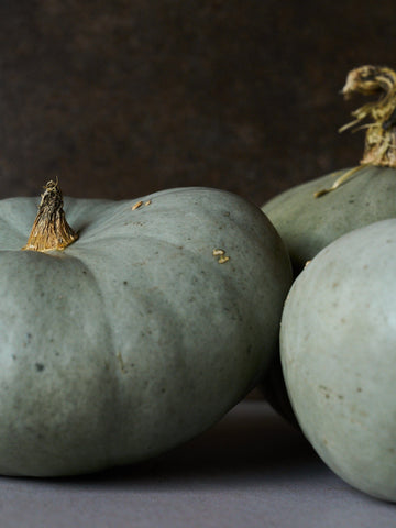 Græskar 'Bush Baby' Seed 