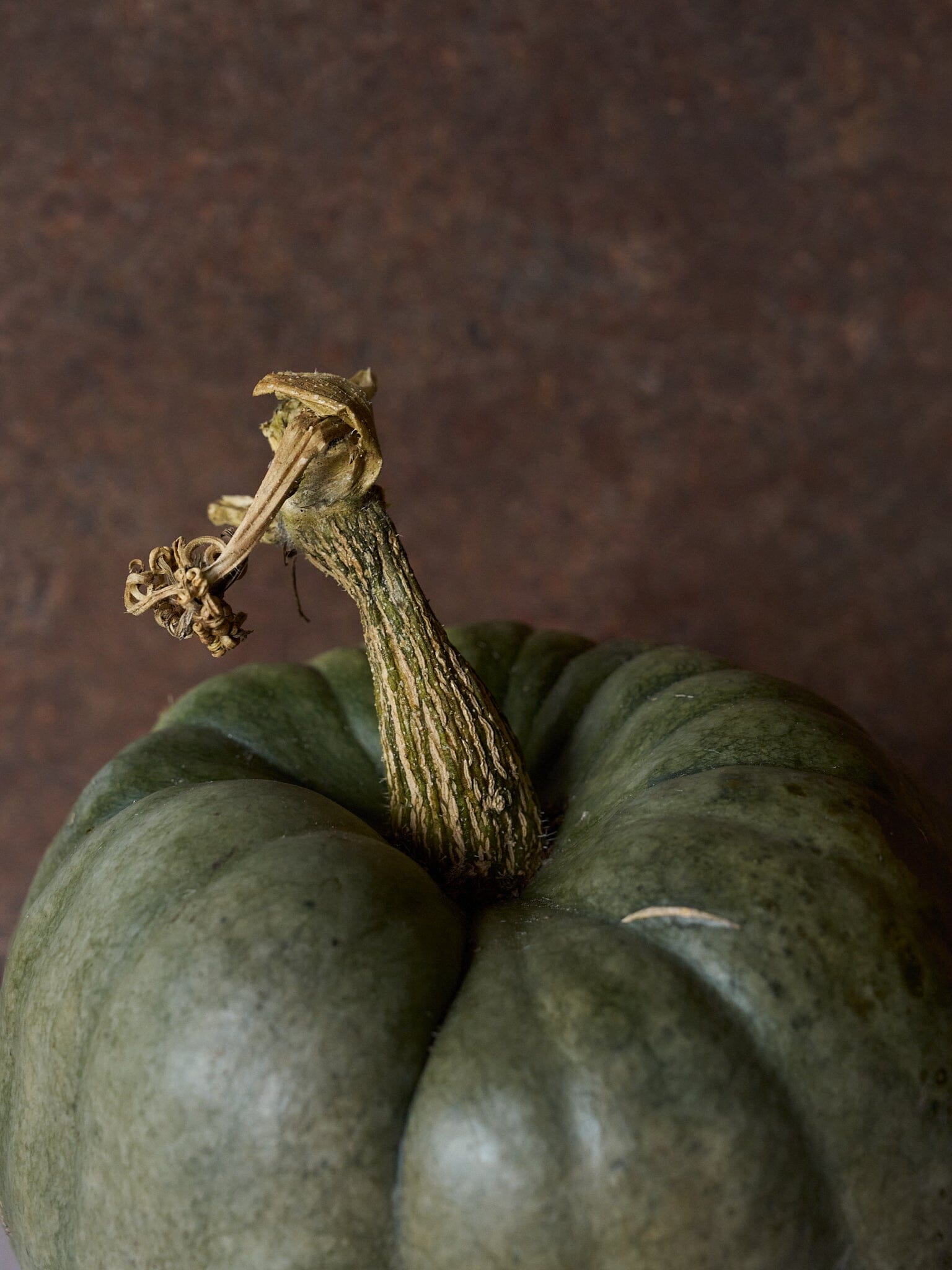 Græskar 'Jarrahdale' Seed 