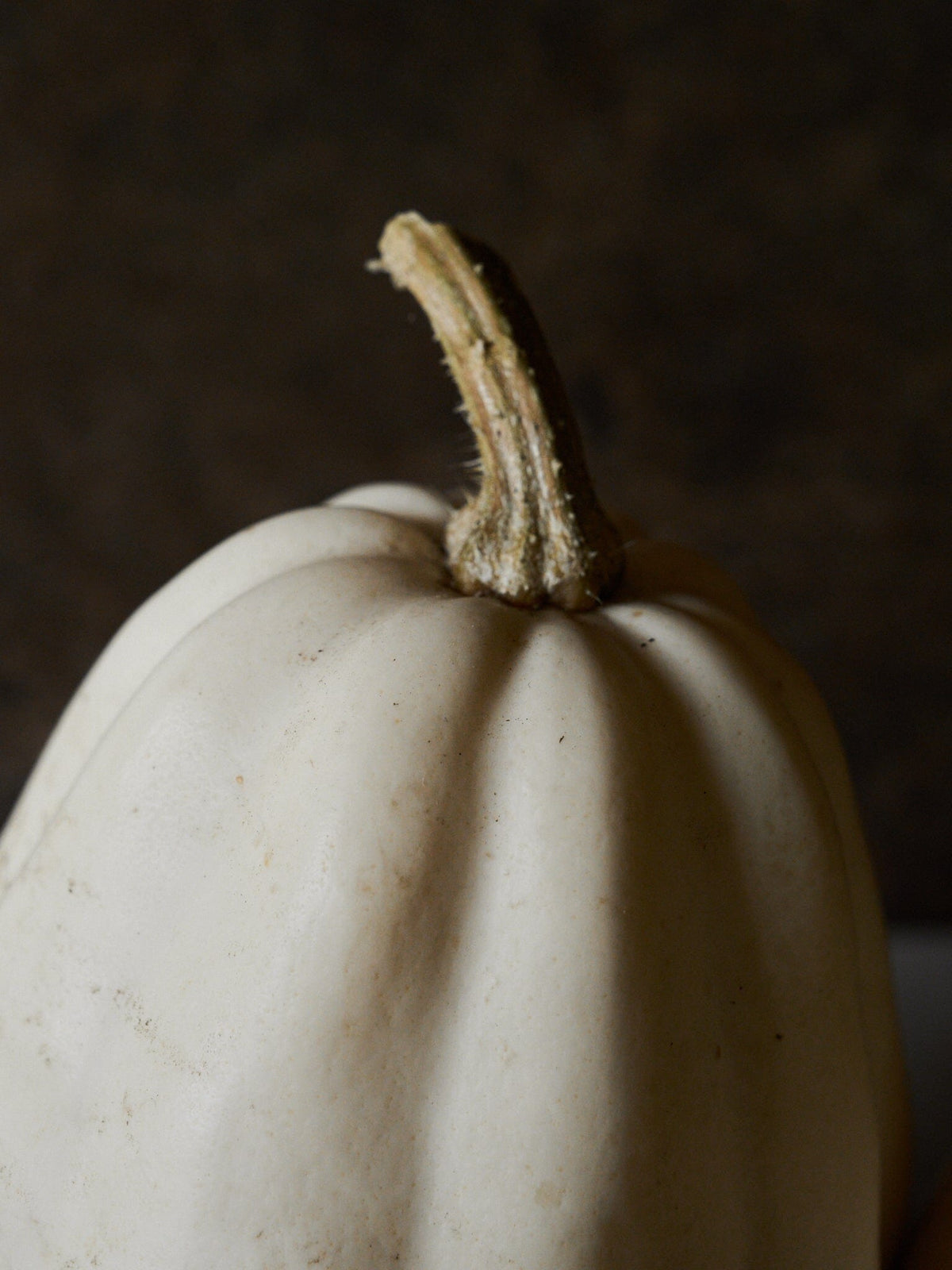 Græskar 'Mashed Potato F1' Seed 
