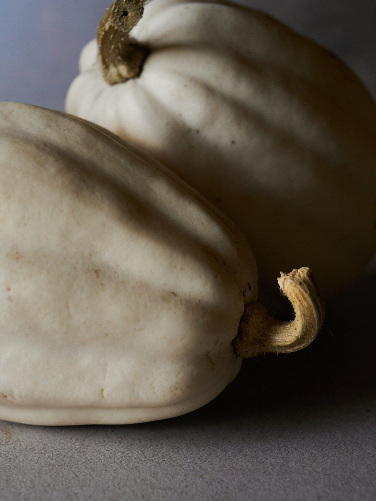 Græskar 'Mashed Potato F1' Seed 