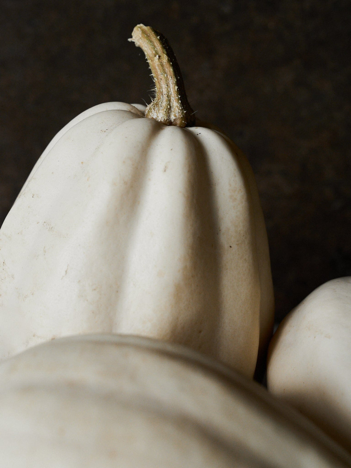 Græskar 'Mashed Potato F1' Seed 