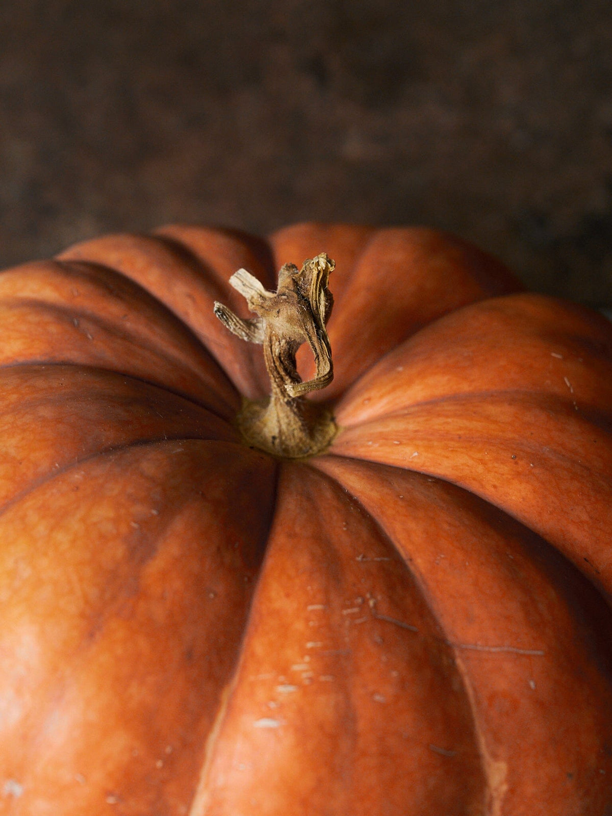 Græskar 'Moranga Exposicao' Seed 