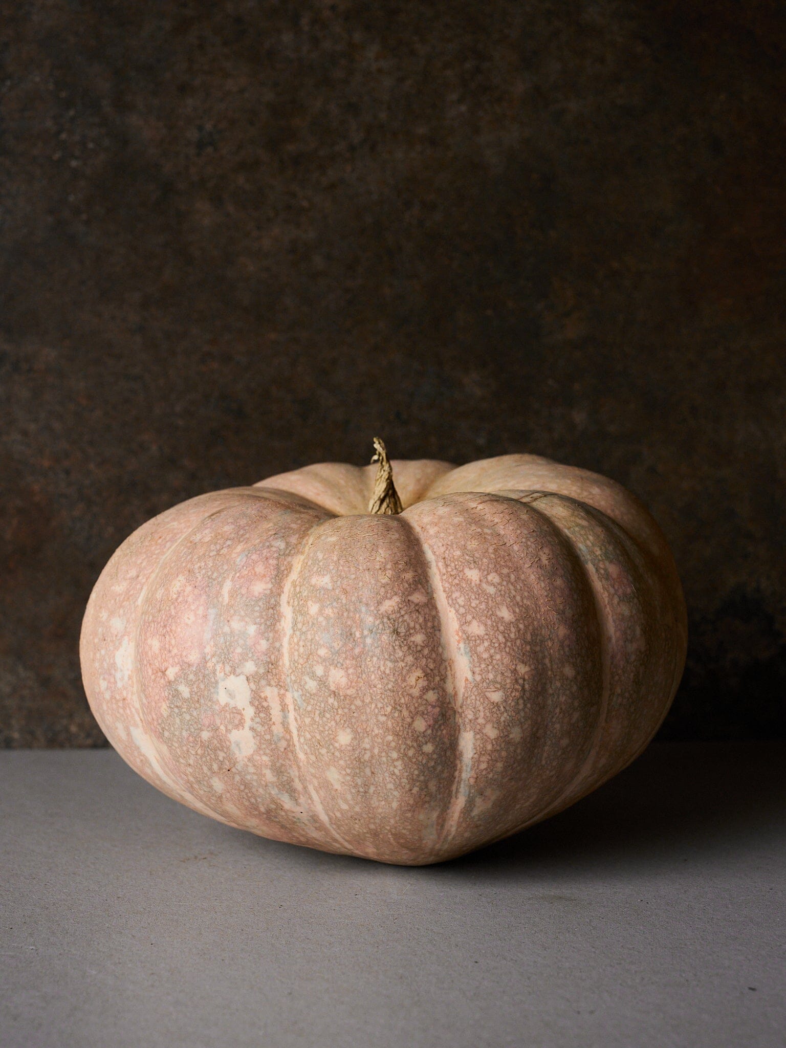 Græskar 'Porcelain Doll F1' Seed 
