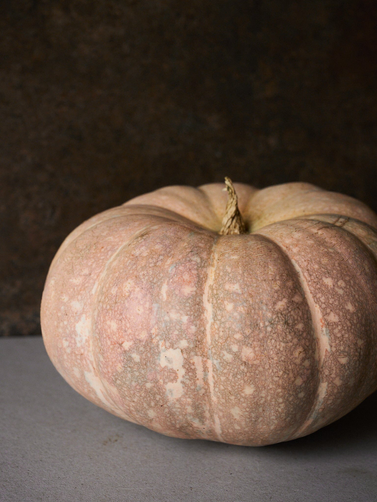 Græskar 'Porcelain Doll F1' Seed 