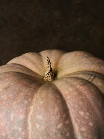 Græskar 'Porcelain Doll F1' Seed 