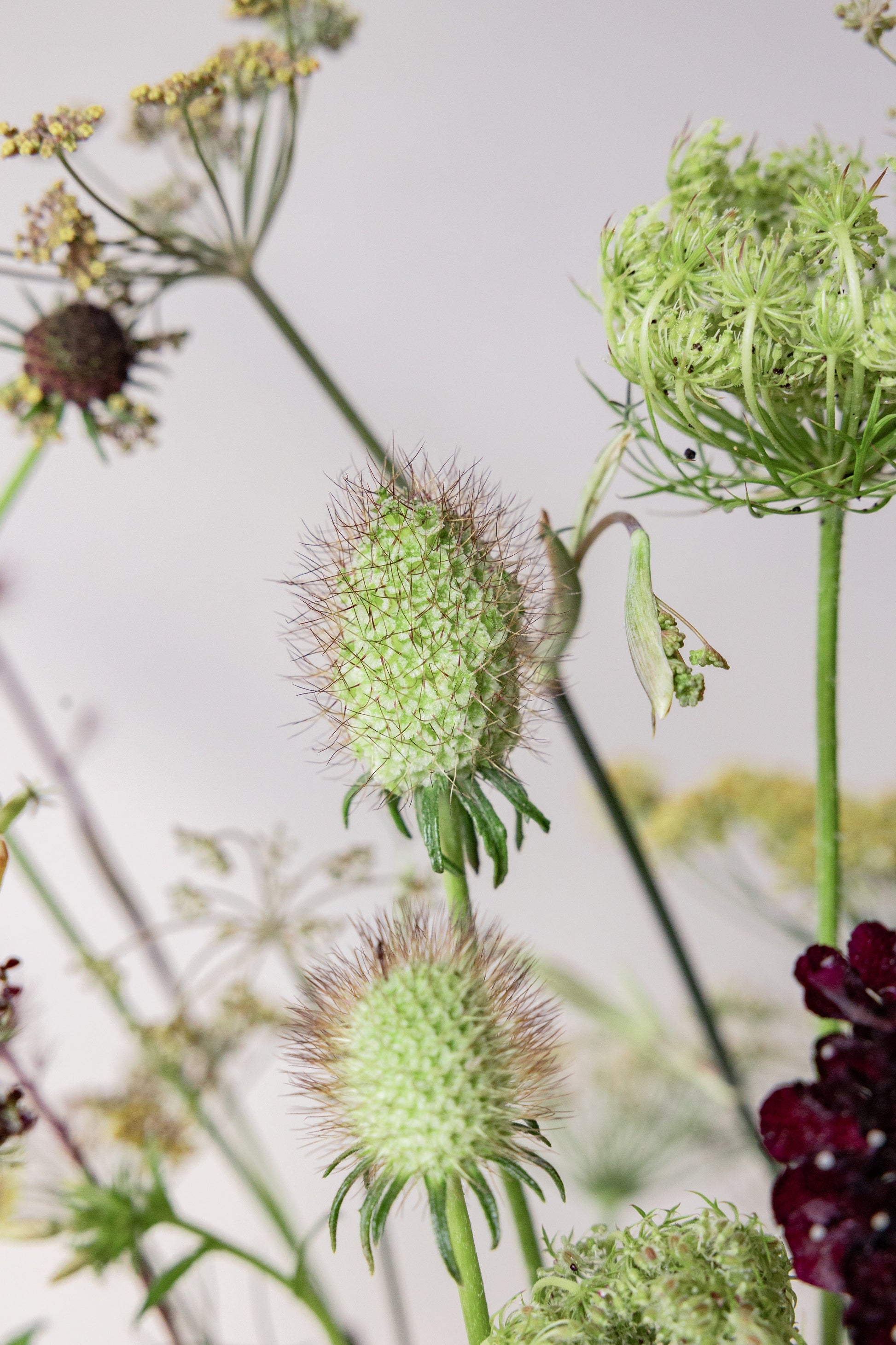 København buketMØRK/CREME buket FIND PÅ ET NAVN Seed 