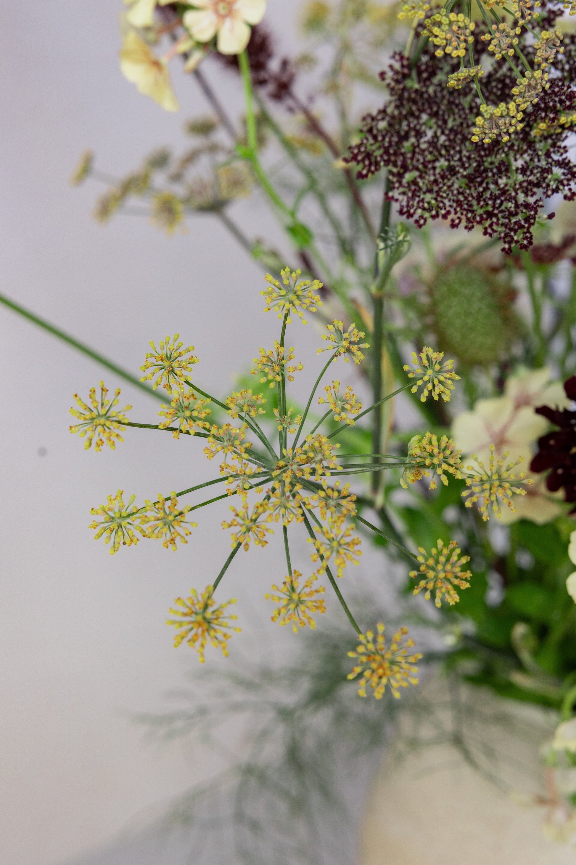 København buketMØRK/CREME buket FIND PÅ ET NAVN Seed 