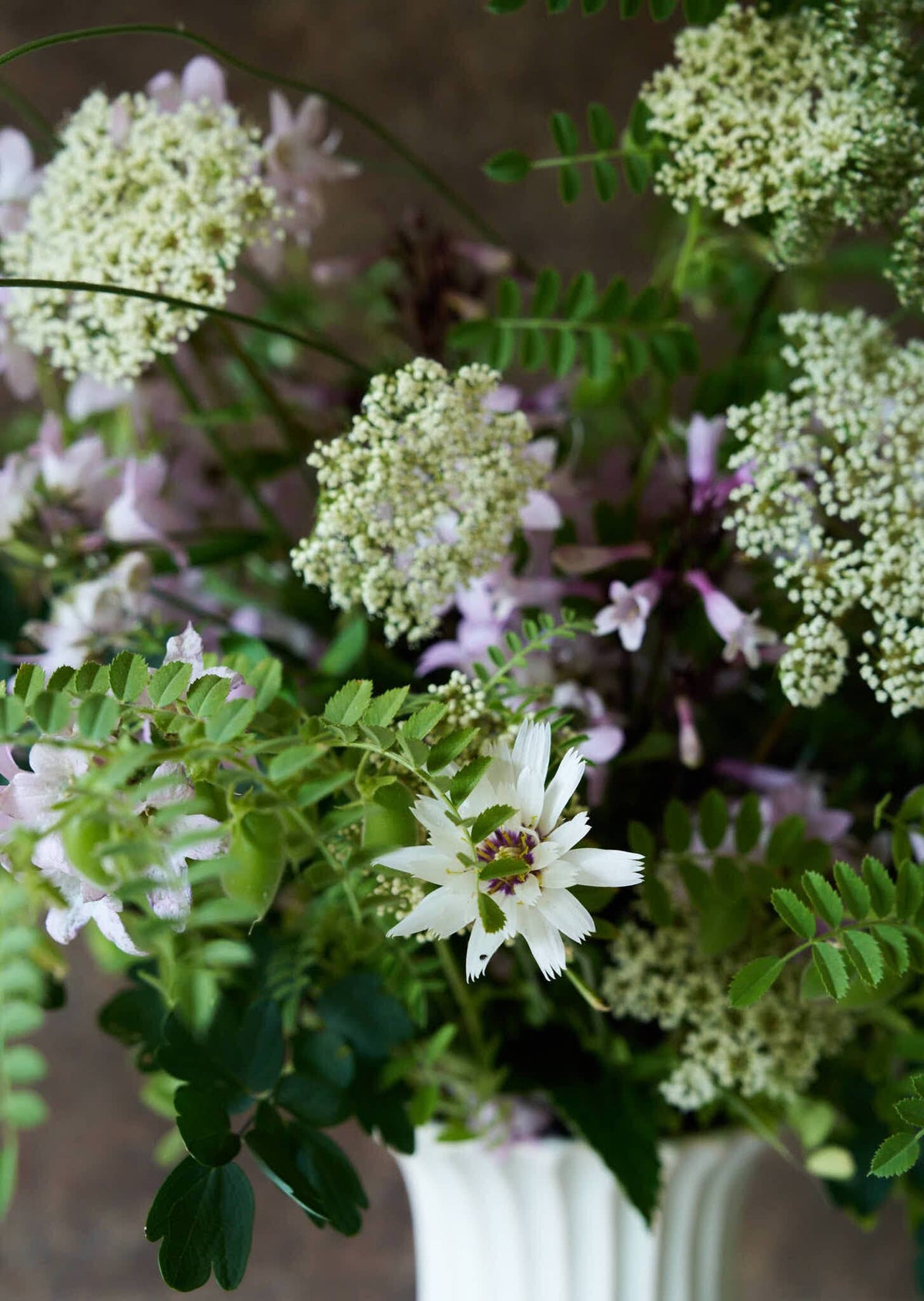 Rasleblomst 'Amor White' Seed 