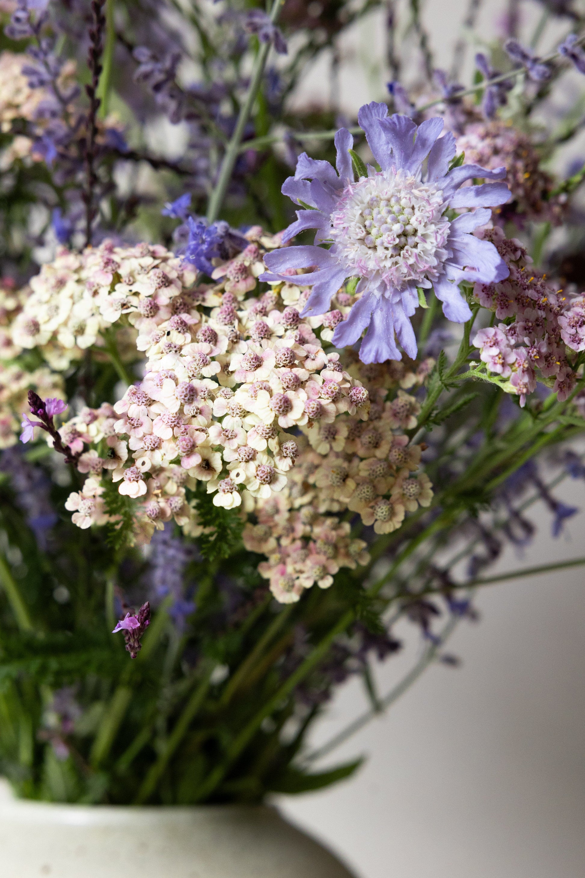 Samsø buket STAUDE buket Seed 