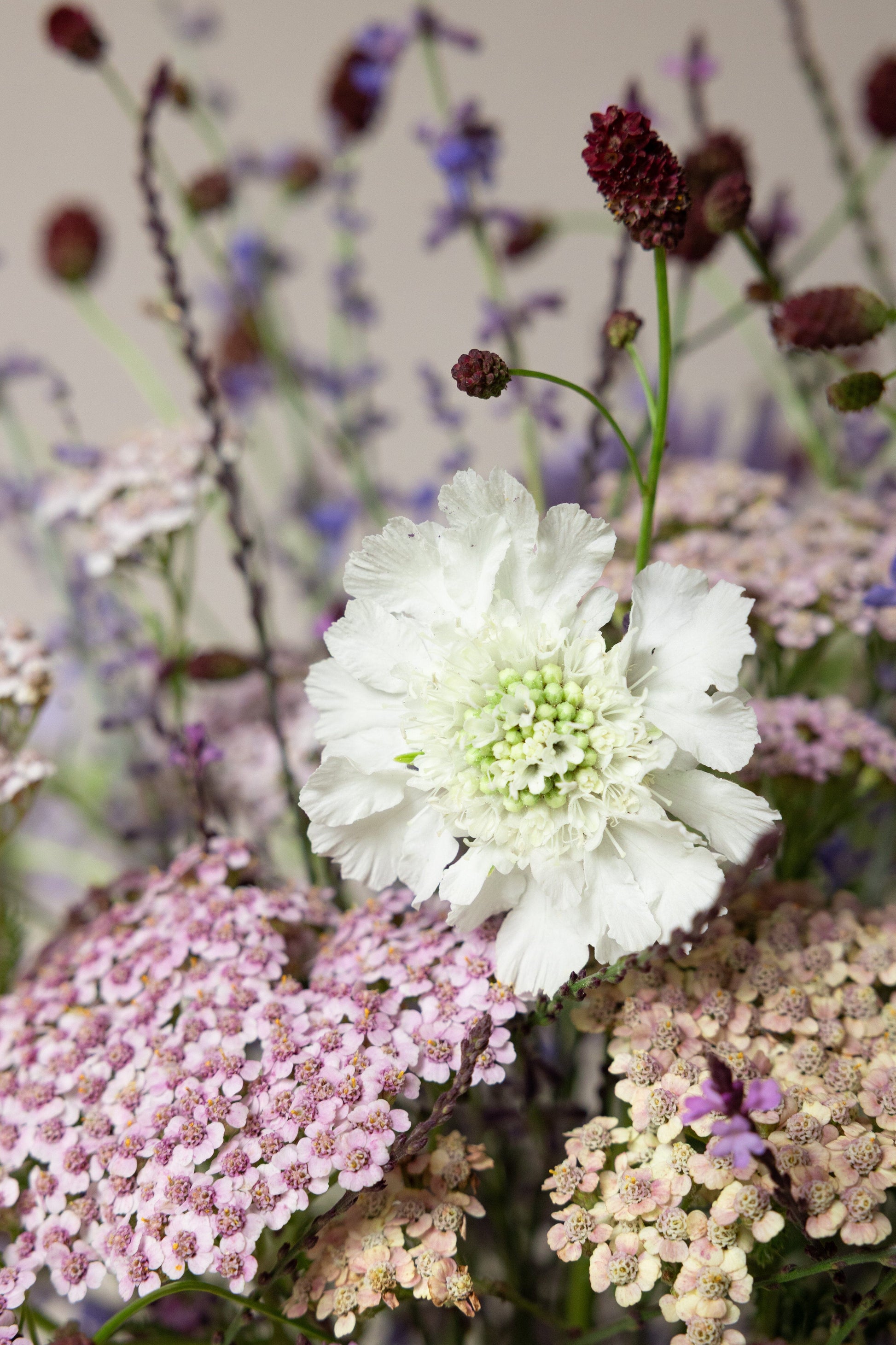 Samsø buket STAUDE buket Seed 