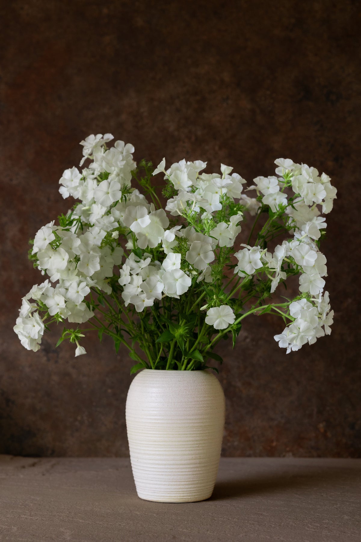 Sommerfloks 'Alba' Seed 