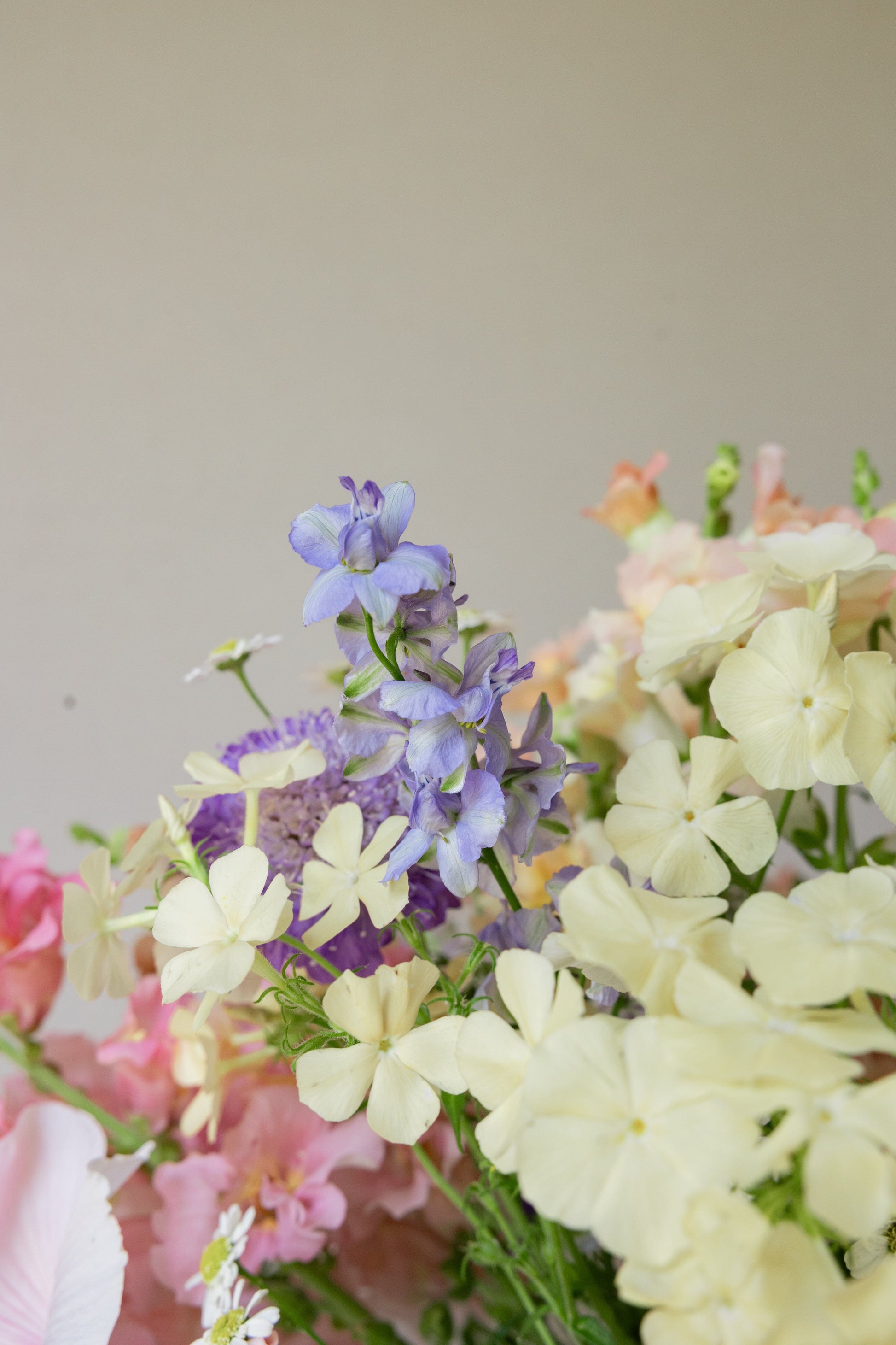 TISVILDE buket pastelbuketten (minus rølliker) Seed 