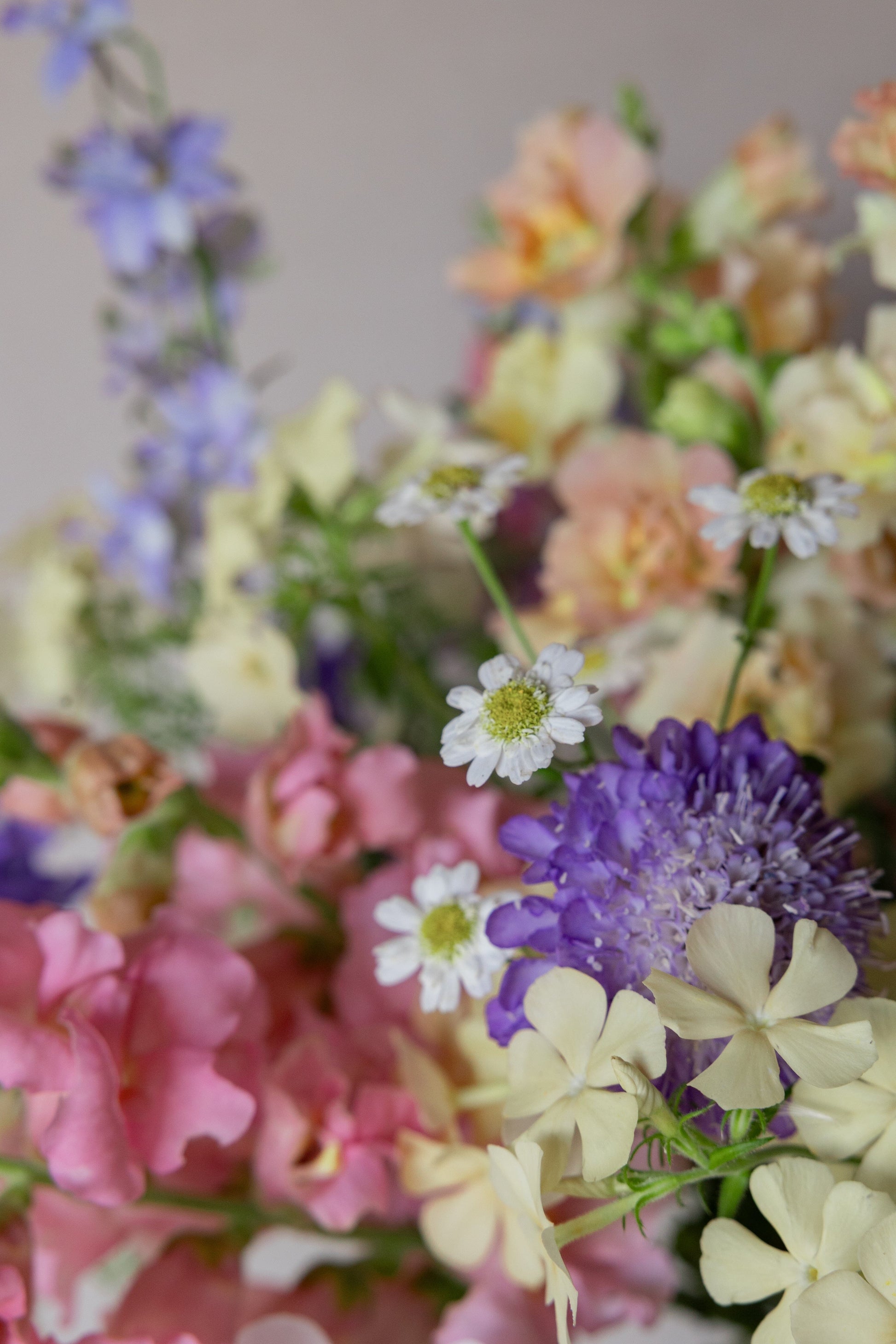 TISVILDE buket pastelbuketten (minus rølliker) Seed 