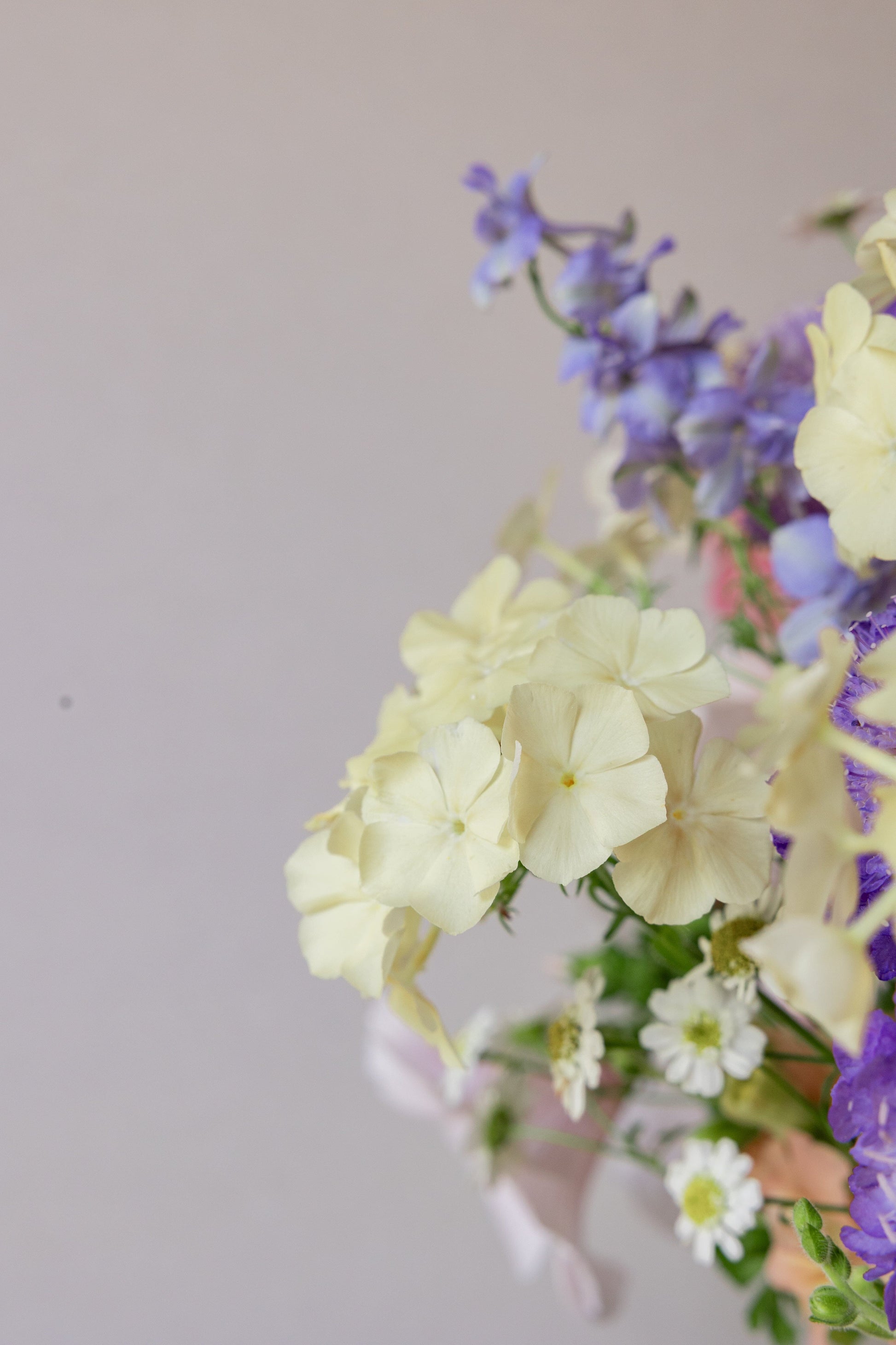 TISVILDE buket pastelbuketten (minus rølliker) Seed 