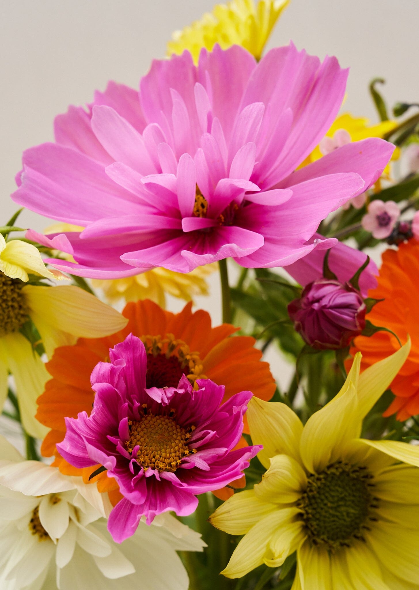 VIMMERBY buket (børnebuketten) Seed 