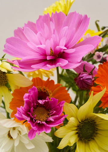 VIMMERBY buket (børnebuketten) Seed 