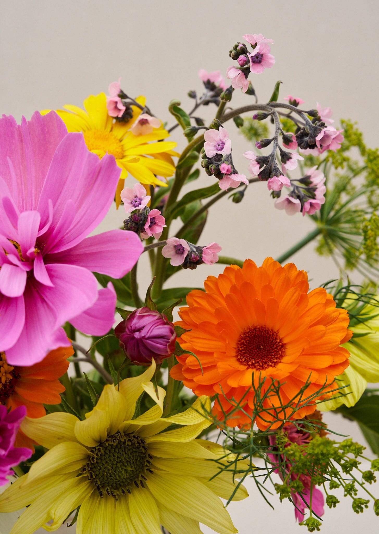 VIMMERBY buket (børnebuketten) Seed 