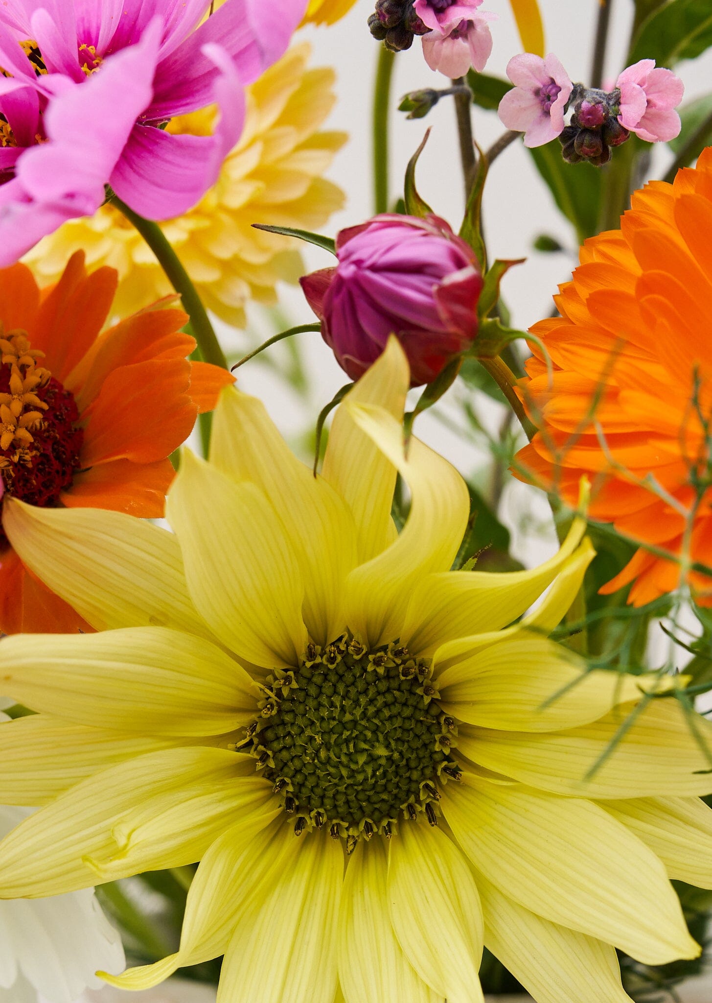 VIMMERBY buket (børnebuketten) Seed 